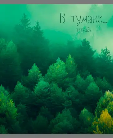 Тетрадь В тумане, А5, 48 листов, клетка, в ассортименте обложка книги