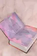 Миниатюра 4