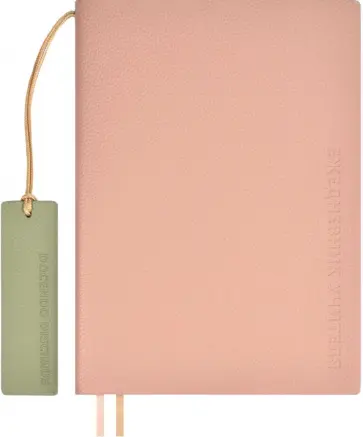 Ежедневник учителя недатированный Шеврет розовый, 160 листов, А5+ обложка книги