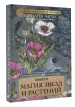 Миниатюра 2
