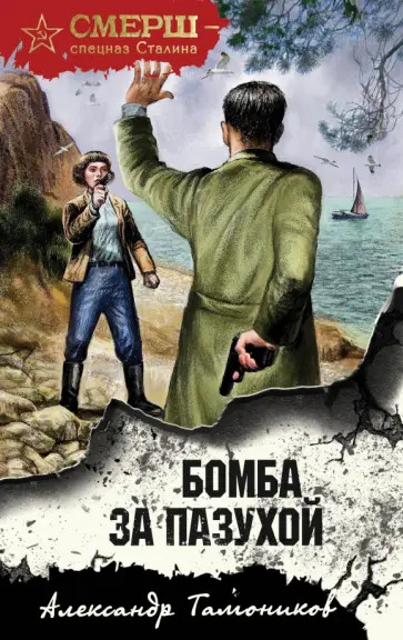 Александр Тамоников - Бомба за пазухой обложка книги