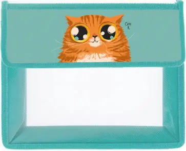 Папка для тетрадей Рыжий кот, А5 обложка книги