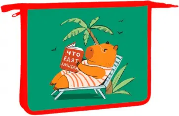 Папка для тетрадей Капибар Капибаро, А5 обложка книги