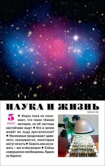 Журнал Наука и жизнь № 5 2024 Журнал Наука и жизнь № 5 2024 обложка книги