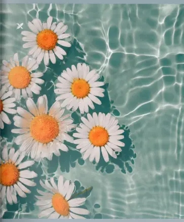 Тетрадь Floating Flowers, A5, 48 листов, клетка, в ассортименте Тетрадь Floating Flowers, A5, 48 листов, клетка, в ассортименте обложка книги