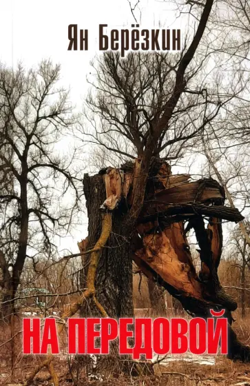 Ян Березкин - На передовой. Стихи о СВО Ян Березкин - На передовой. Стихи о СВО обложка книги