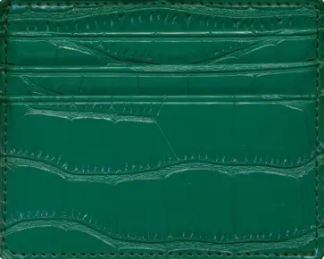 Кардхолдер Savage Изумрудный обложка книги