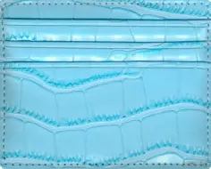 Кардхолдер Savage Голубой обложка книги