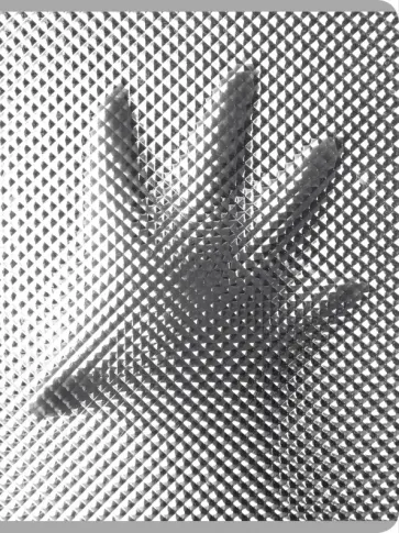 Тетрадь Тень, А4, 80 листов, клетка Тетрадь Тень, А4, 80 листов, клетка обложка книги