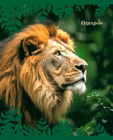 Тетрадь Дикая природа, 48 листов, клетка, в ассортименте обложка книги