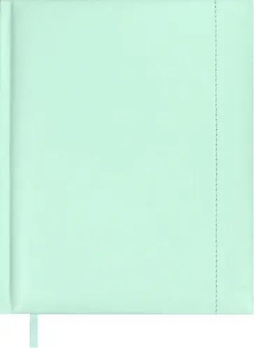 Дневник школьный Мятный плонже Дневник школьный Мятный плонже обложка книги