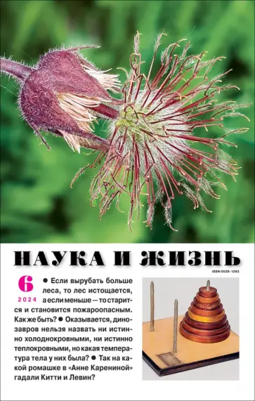 Наука и жизнь. 2024. № 6 обложка книги
