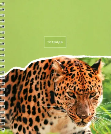 Тетрадь В мире животных, 80 листов, клетка, в ассортименте обложка книги