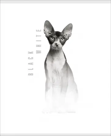 Тетрадь В мире животных, 96 листов, линия, в ассортименте обложка книги