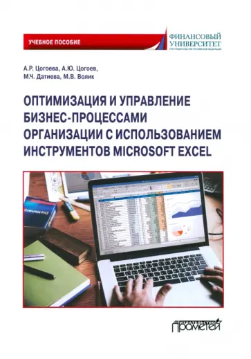 Цогоева, Цогоев - Оптимизация и управление бизнес-процессами организации с использованием инструментов Microsoft Excel обложка книги