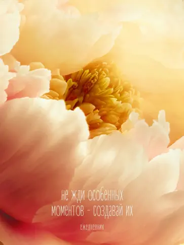 Ежедневник недатированный Создавай моменты, А6, 128 листов Ежедневник недатированный Создавай моменты, А6, 128 листов обложка книги