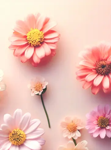 Тетрадь Peach Fuzz Flower, 120 листов, клетка, А4 Тетрадь Peach Fuzz Flower, 120 листов, клетка, А4 обложка книги