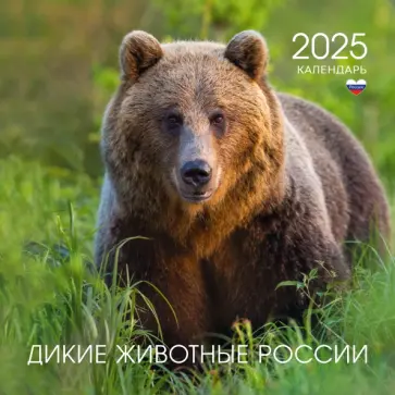 Календарь на 2025 год Дикие животные России Календарь на 2025 год Дикие животные России обложка книги