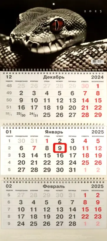 Календарь на 2025 год трехблочный Символ года. 2 Календарь на 2025 год трехблочный Символ года. 2 обложка книги