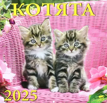 Календарь настенный на 2025 год Котята обложка книги