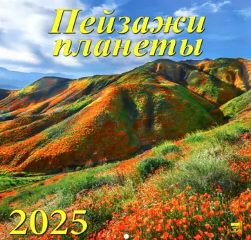 Календарь настенный на 2025 год Пейзажи планеты обложка книги
