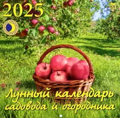 Календарь настенный 300х300