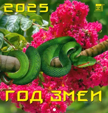 Календарь настенный на 2025 год Год змеи обложка книги