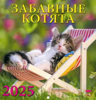 Календарь настенный на 2025 год Забавные котята обложка книги