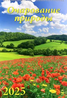 Календарь настенный на 2025 год Очарование природы обложка книги