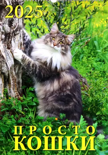 Календарь настенный на 2025 год Просто кошки Календарь настенный на 2025 год Просто кошки обложка книги