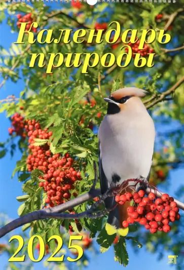 Календарь настенный на 2025 год Календарь природы Календарь настенный на 2025 год Календарь природы обложка книги