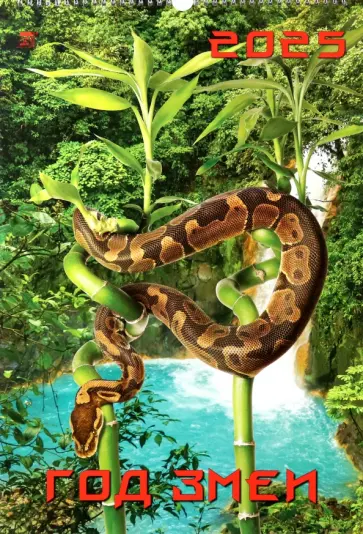 Календарь настенный на 2025 год Год змеи Календарь настенный на 2025 год Год змеи обложка книги