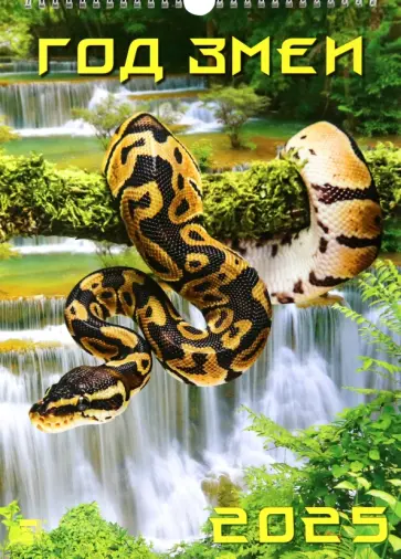 Календарь настенный на 2025 год Год змеи обложка книги
