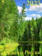 Календарь настенный 250х345
