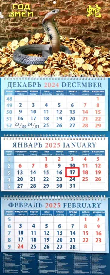 Календарь квартальный на 2025 год Год змеи Календарь квартальный на 2025 год Год змеи обложка книги