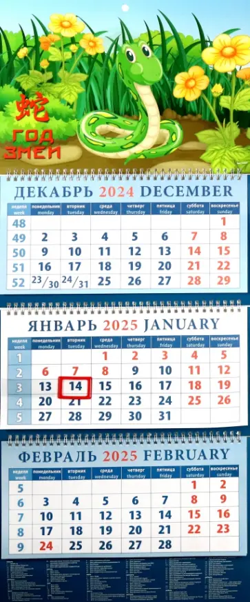 Календарь квартальный на 2025 год Год змеи Календарь квартальный на 2025 год Год змеи обложка книги