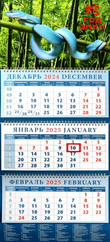 Календарь квартальный на 2025 год Год змеи Календарь квартальный на 2025 год Год змеи обложка книги