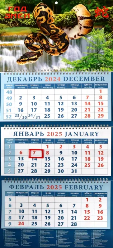 Календарь квартальный на 2025 год Год змеи Календарь квартальный на 2025 год Год змеи обложка книги