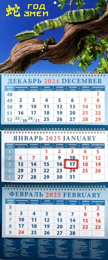 Календарь квартальный на 2025 год Год змеи Календарь квартальный на 2025 год Год змеи обложка книги