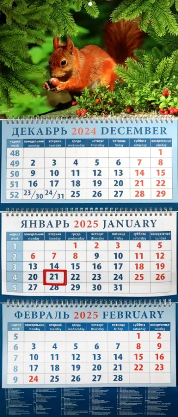 Календарь квартальный на 2025 год Белка с орехом Календарь квартальный на 2025 год Белка с орехом обложка книги