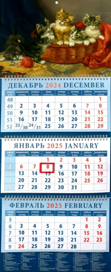 Календарь квартальный на 2025 год Котята в корзине Календарь квартальный на 2025 год Котята в корзине обложка книги