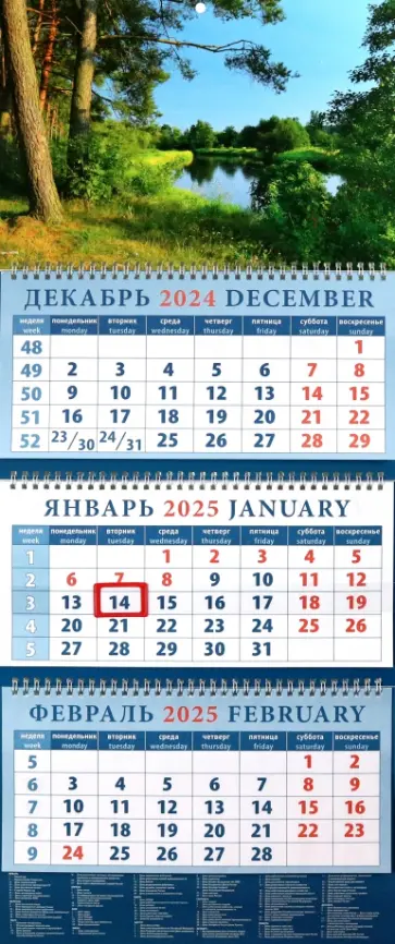 Календарь квартальный на 2025 год Очарование природы Календарь квартальный на 2025 год Очарование природы обложка книги