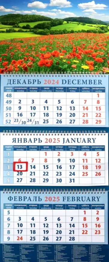 Календарь квартальный на 2025 год Пейзаж с маками Календарь квартальный на 2025 год Пейзаж с маками обложка книги