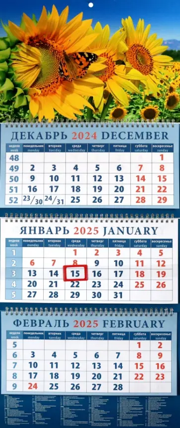 Календарь квартальный на 2025 год Подсолнухи Календарь квартальный на 2025 год Подсолнухи обложка книги