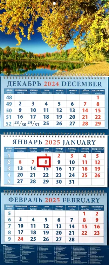 Календарь квартальный на 2025 год Золотая осень Календарь квартальный на 2025 год Золотая осень обложка книги
