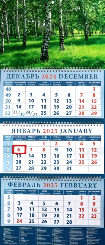 Календарь квартальный на 2025 год Березы Календарь квартальный на 2025 год Березы обложка книги