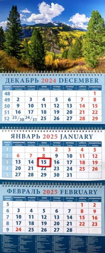 Календарь квартальный на 2025 год Прекрасный пейзаж Календарь квартальный на 2025 год Прекрасный пейзаж обложка книги