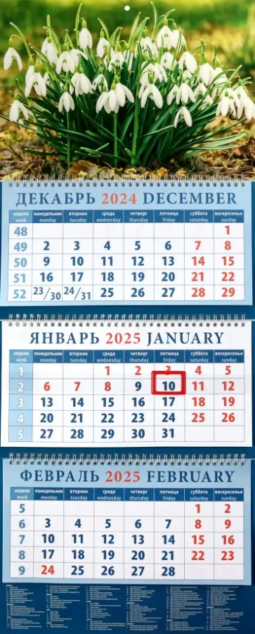 Календарь квартальный на 2025 год Подснежники Календарь квартальный на 2025 год Подснежники обложка книги
