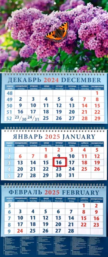 Календарь квартальный на 2025 год Бабочка на сирени Календарь квартальный на 2025 год Бабочка на сирени обложка книги
