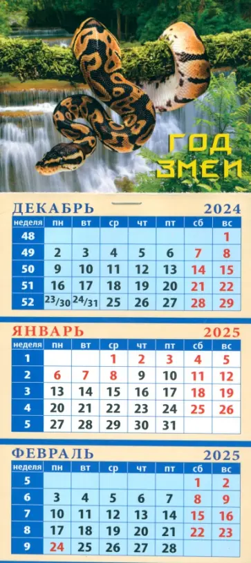 Календарь квартальный на магните на 2025 год Год змеи Календарь квартальный на магните на 2025 год Год змеи обложка книги